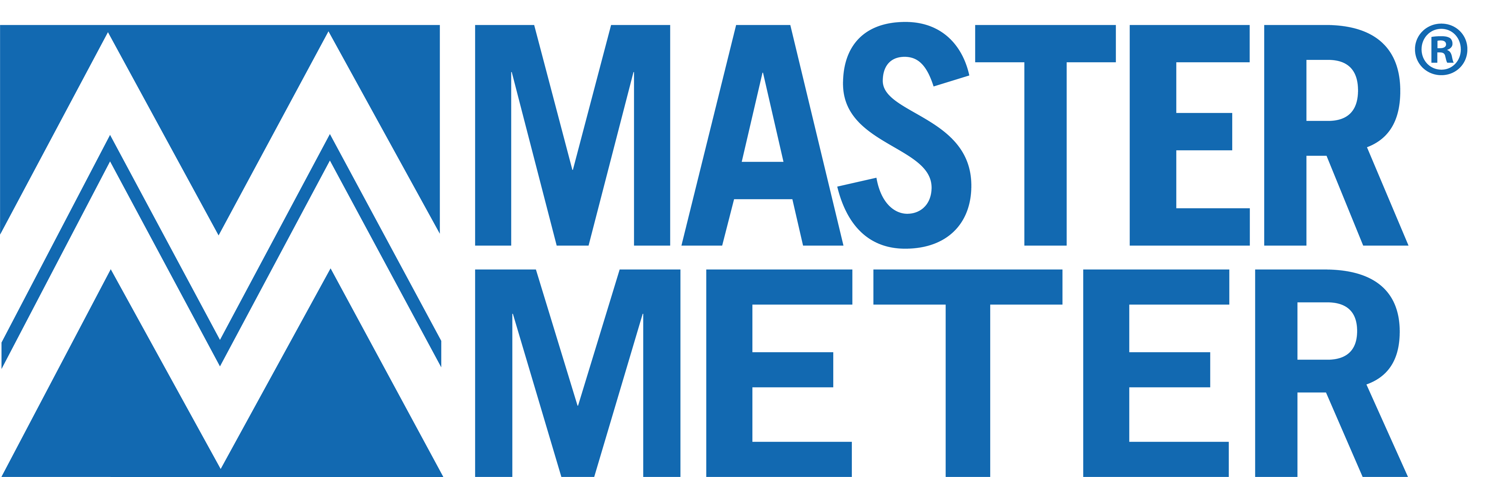 Master Meter